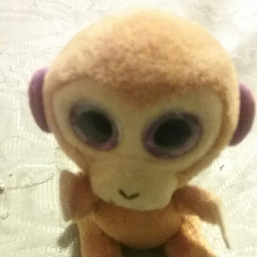 @MRSTUFFY.GUY