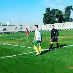@RENZO.COTTURA