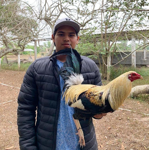 @CHRISTOPHER.ELIAS