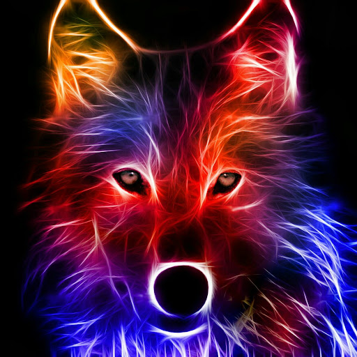 @KILLGOR037.